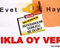 Referandum Anketi