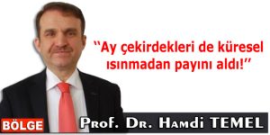 Ay çekirdekleri de küresel ısınmadan payını aldı!