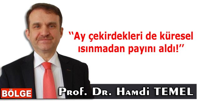 Ay çekirdekleri de küresel ısınmadan payını aldı!