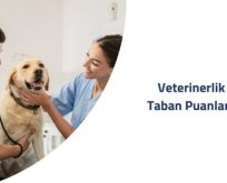 Veterinerlik Eğitimi: Puanlar ve Başarı Sıralaması Rehberi