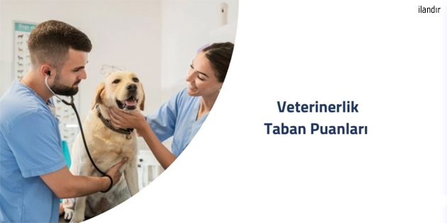 Veterinerlik Eğitimi: Puanlar ve Başarı Sıralaması Rehberi