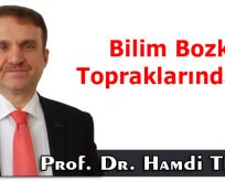 Bilim Bozkır Topraklarındaydı!