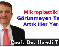 Mikroplastikler: Görünmeyen Tehlike Artık Her Yerde