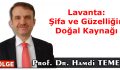 Lavanta: Şifa ve Güzelliğin Doğal Kaynağı