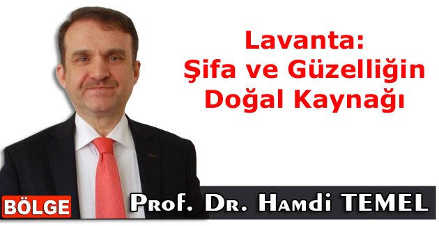 Lavanta: Şifa ve Güzelliğin Doğal Kaynağı