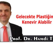 Gelecekte Plastiğin Yerini Kenevir Alabilir mi?