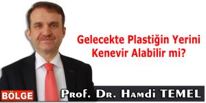 Gelecekte Plastiğin Yerini Kenevir Alabilir mi?