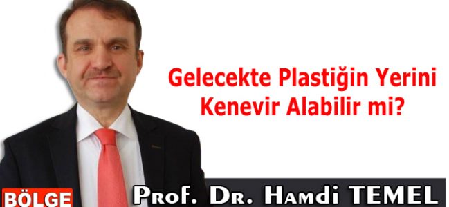 Gelecekte Plastiğin Yerini Kenevir Alabilir mi?