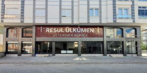 Resul Ülkümen Veteriner Kliniği: Karaman’da Evcil Hayvan Sağlığına Özen Gösteren Uzman Klinik