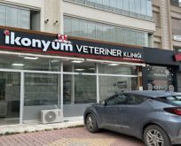 İkonyum Veteriner Kliniği: Dostlarınızın Sağlığına Adanmış Güvenilir Hizmet