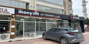 İkonyum Veteriner Kliniği: Dostlarınızın Sağlığına Adanmış Güvenilir Hizmet