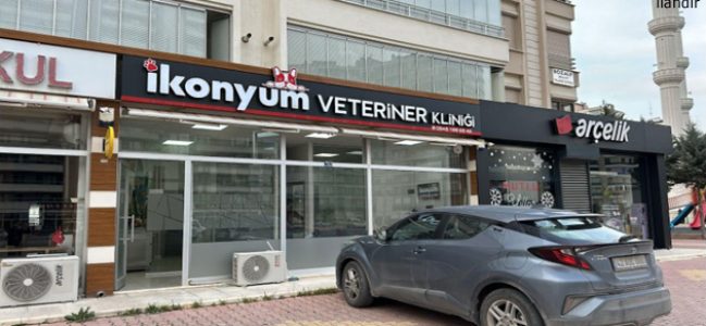 İkonyum Veteriner Kliniği: Dostlarınızın Sağlığına Adanmış Güvenilir Hizmet