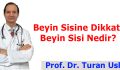 Beyin Sisine Dikkat! Beyin Sisi Nedir?