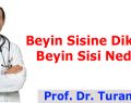 Beyin Sisine Dikkat! Beyin Sisi Nedir?