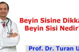 Beyin Sisine Dikkat! Beyin Sisi Nedir?