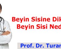 Beyin Sisine Dikkat! Beyin Sisi Nedir?