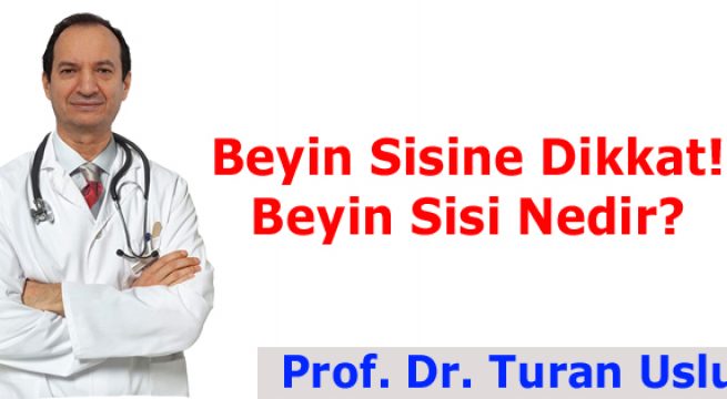 Beyin Sisine Dikkat! Beyin Sisi Nedir?