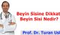 Beyin Sisine Dikkat! Beyin Sisi Nedir?