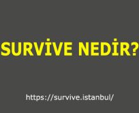 Survive Nedir?