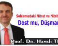 Soframızdaki Nitrat ve Nitrit Gerçeği: Dost mu, Düşman mı?